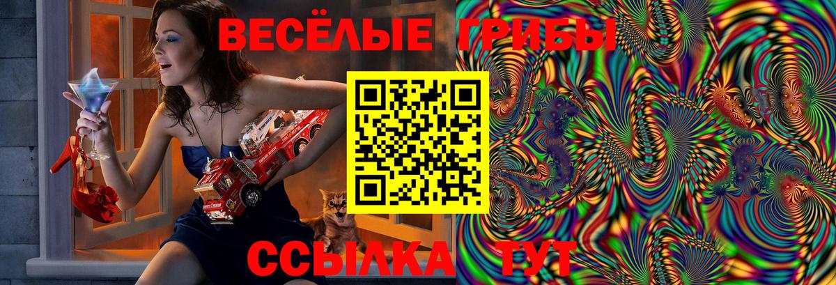 Галлюциногенные грибы GOLDEN TEACHER Кисловодск