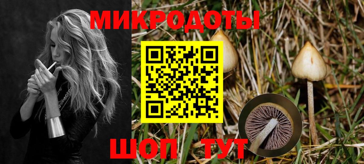 Псилоцибиновые грибы Psilocybine cubensis  Вход с VPN  Кисловодск  Псилоцибиновые грибы мухоморы 